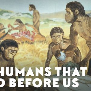 The Humans That Lived Before Us