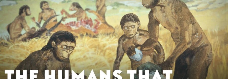 The Humans That Lived Before Us