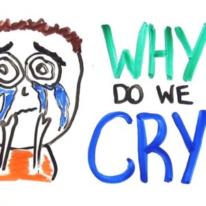 Why Do We Cry?